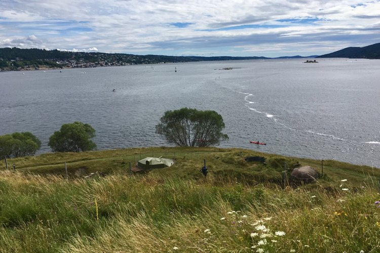 Oslo: Kevätretki Oscarsborgin linnakesaarelle Oslo: Kevätretki Oscarsborgin linnakesaarelle