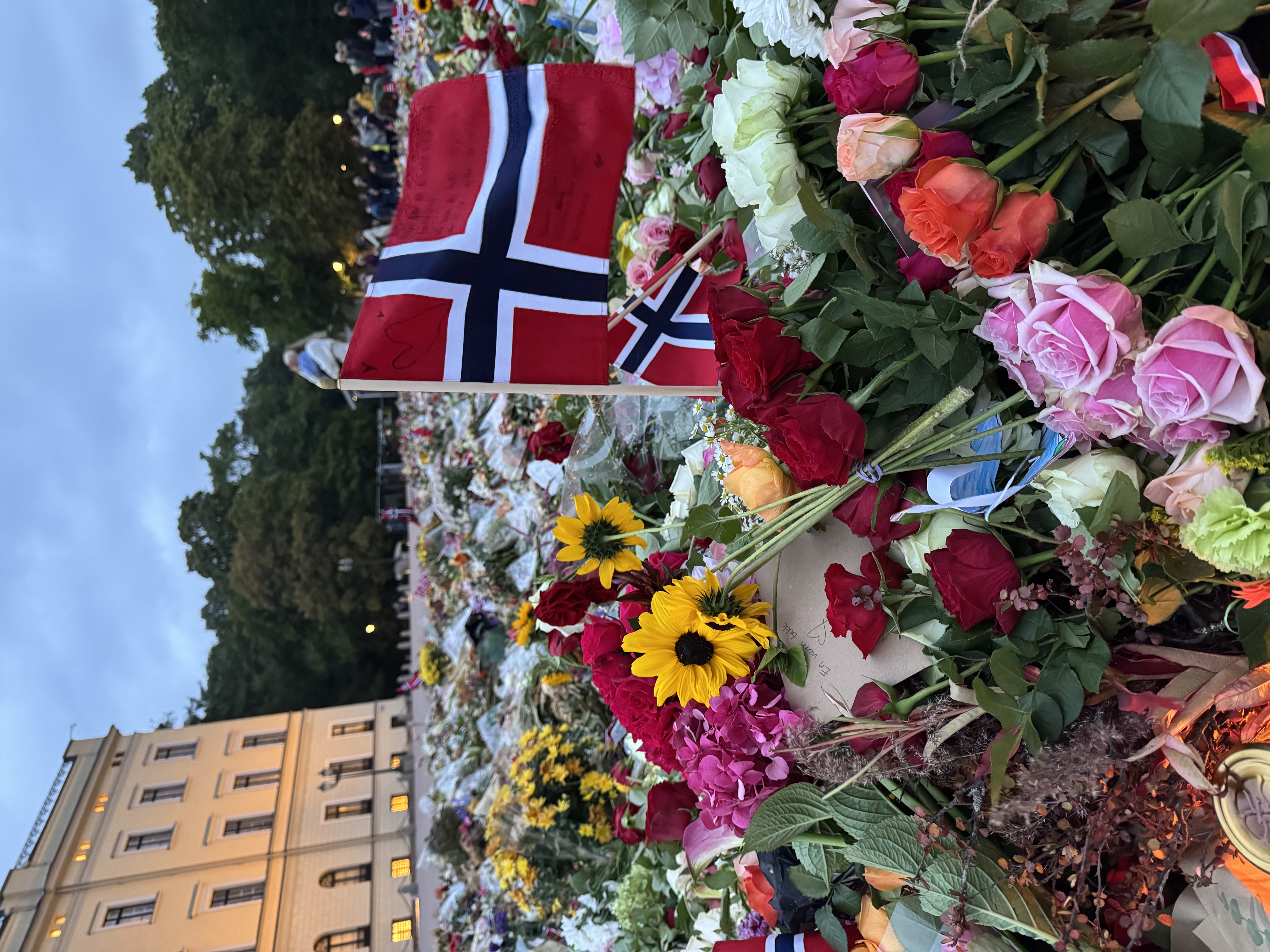 kukkia ja kuninkaanlinnaa
