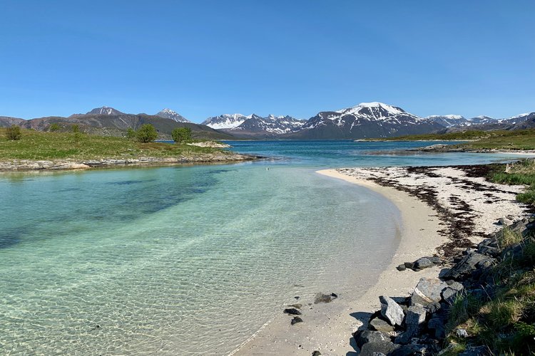 Kesämaisemassa Sommarøyan hiekkaranta, taustalla lumihuippuiset vuoret.